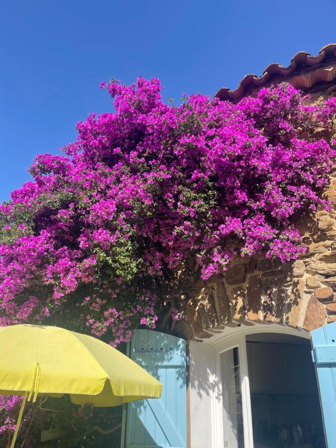 Maison De Vacances Medievale Bormes-Les-Mimosas Village Bagian luar foto