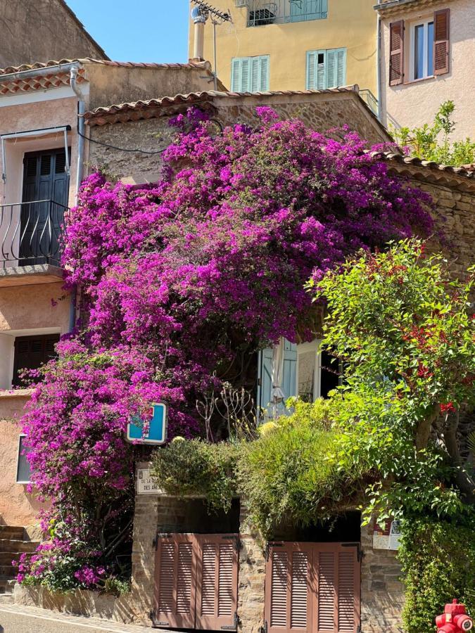 Maison De Vacances Medievale Bormes-Les-Mimosas Village Bagian luar foto