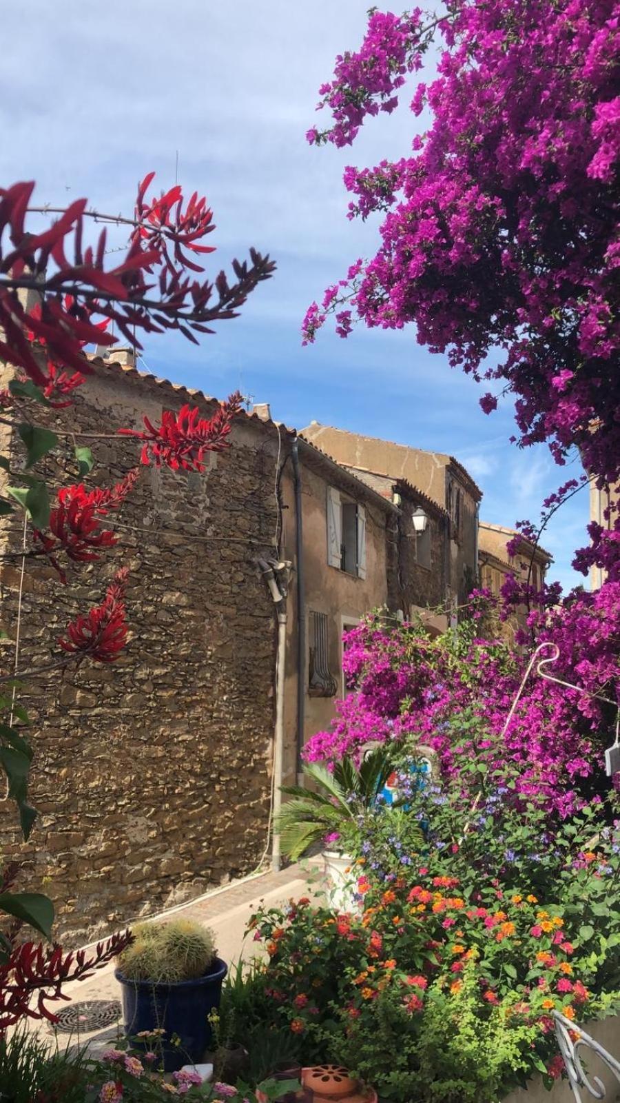 Maison De Vacances Medievale Bormes-Les-Mimosas Village Bagian luar foto