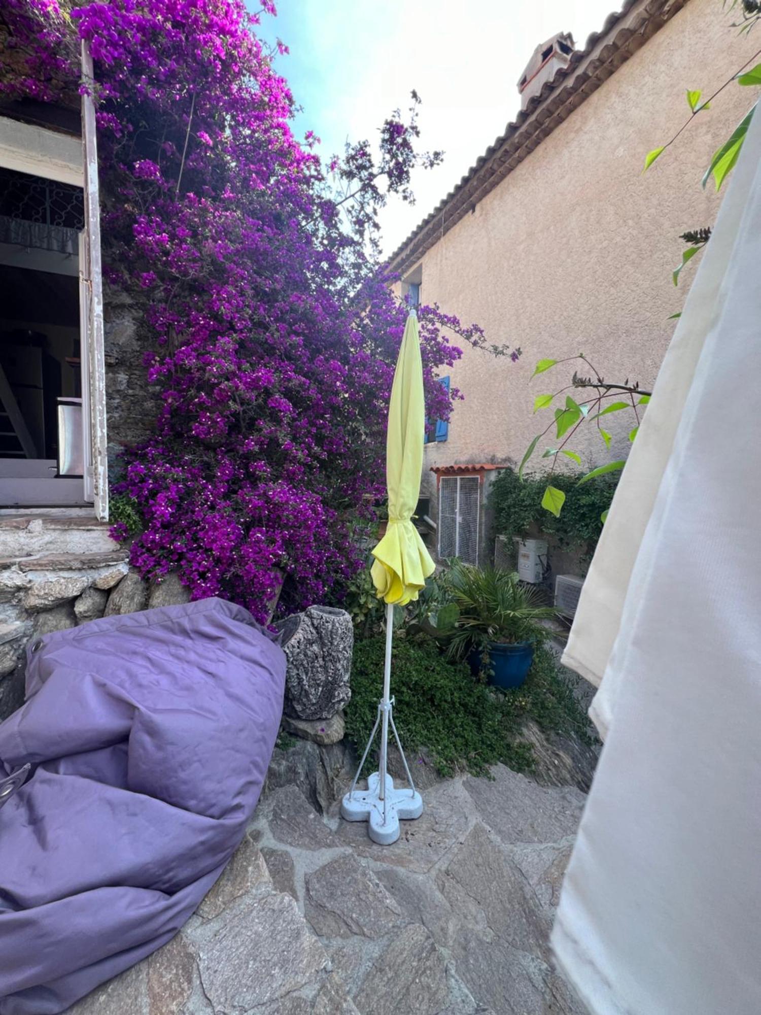 Maison De Vacances Medievale Bormes-Les-Mimosas Village Bagian luar foto